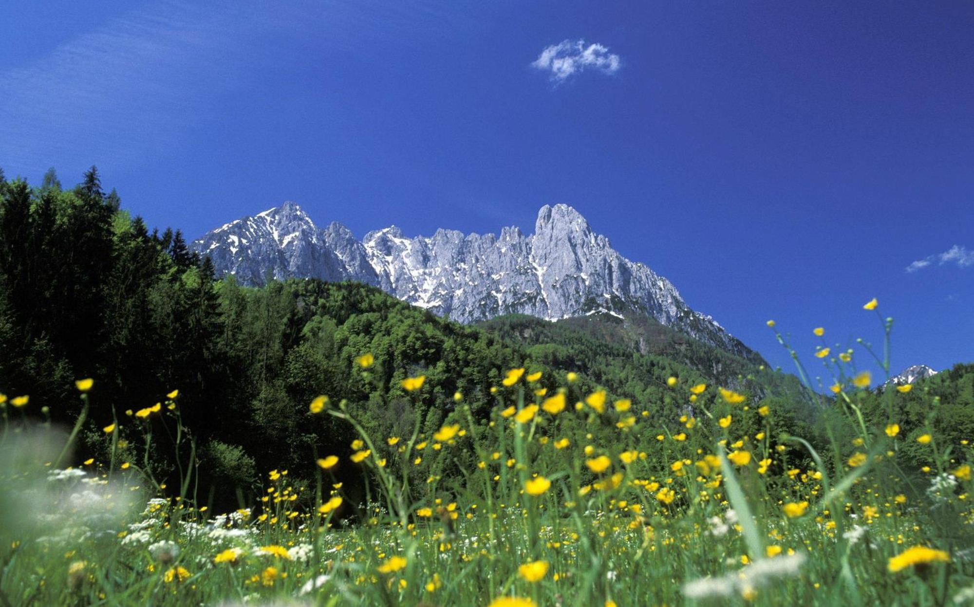 Landhaus Foidl Sankt Johann in Tirol Exterior photo